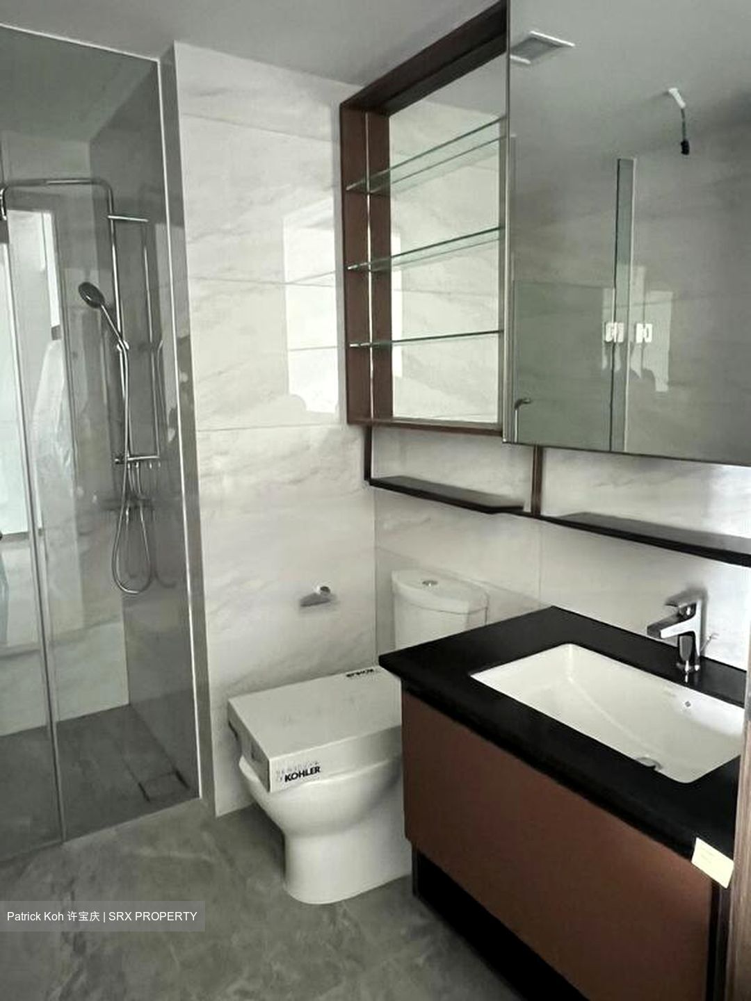 Normanton Park (D5), Apartment #467234611